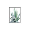 Picture of Zebra Succulent  _GroupedProduct_Rectangle_Portrait_Canvas_Framed_