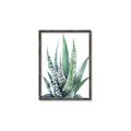 Picture of Zebra Succulent  _GroupedProduct_Rectangle_Portrait_Canvas_Framed_