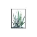Picture of Zebra Succulent  _GroupedProduct_Rectangle_Portrait_Canvas_Framed_