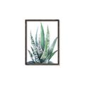 Picture of Zebra Succulent  _GroupedProduct_Rectangle_Portrait_Canvas_Framed_
