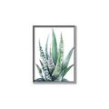 Picture of Zebra Succulent  _GroupedProduct_Rectangle_Portrait_Canvas_Framed_