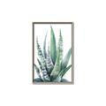 Picture of Zebra Succulent  _GroupedProduct_Rectangle_Portrait_Canvas_Framed_