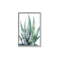 Picture of Zebra Succulent  _GroupedProduct_Rectangle_Portrait_Canvas_Framed_