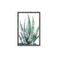 Picture of Zebra Succulent  _GroupedProduct_Rectangle_Portrait_Canvas_Framed_