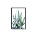Picture of Zebra Succulent  _GroupedProduct_Rectangle_Portrait_Canvas_Framed_
