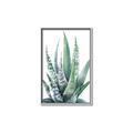 Picture of Zebra Succulent  _GroupedProduct_Rectangle_Portrait_Canvas_Framed_