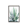 Picture of Zebra Succulent  _GroupedProduct_Rectangle_Portrait_Canvas_Framed_