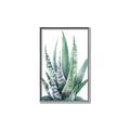 Picture of Zebra Succulent  _GroupedProduct_Rectangle_Portrait_Canvas_Framed_
