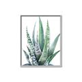 Picture of Zebra Succulent  _GroupedProduct_Rectangle_Portrait_Canvas_Framed_