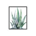 Picture of Zebra Succulent  _GroupedProduct_Rectangle_Portrait_Canvas_Framed_