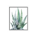 Picture of Zebra Succulent  _GroupedProduct_Rectangle_Portrait_Canvas_Framed_