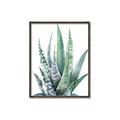 Picture of Zebra Succulent  _GroupedProduct_Rectangle_Portrait_Canvas_Framed_