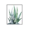 Picture of Zebra Succulent  _GroupedProduct_Rectangle_Portrait_Canvas_Framed_