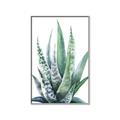 Picture of Zebra Succulent  _GroupedProduct_Rectangle_Portrait_Canvas_Framed_