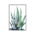 Picture of Zebra Succulent  _GroupedProduct_Rectangle_Portrait_Canvas_Framed_