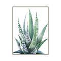Picture of Zebra Succulent  _GroupedProduct_Rectangle_Portrait_Canvas_Framed_