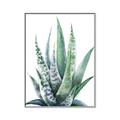 Picture of Zebra Succulent  _GroupedProduct_Rectangle_Portrait_Canvas_Framed_