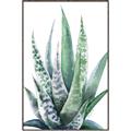 Picture of Zebra Succulent  _GroupedProduct_Rectangle_Portrait_Canvas_Framed_