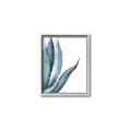 Picture of Succulent  _GroupedProduct_Rectangle_Portrait_Canvas_Framed_