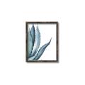 Picture of Succulent  _GroupedProduct_Rectangle_Portrait_Canvas_Framed_