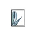 Picture of Succulent  _GroupedProduct_Rectangle_Portrait_Canvas_Framed_