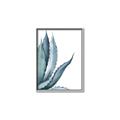 Picture of Succulent  _GroupedProduct_Rectangle_Portrait_Canvas_Framed_