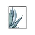Picture of Succulent  _GroupedProduct_Rectangle_Portrait_Canvas_Framed_