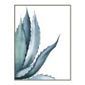 Picture of Succulent  _GroupedProduct_Rectangle_Portrait_Canvas_Framed_