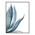 Picture of Succulent  _GroupedProduct_Rectangle_Portrait_Canvas_Framed_