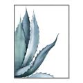 Picture of Succulent  _GroupedProduct_Rectangle_Portrait_Canvas_Framed_