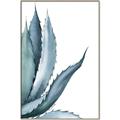 Picture of Succulent  _GroupedProduct_Rectangle_Portrait_Canvas_Framed_