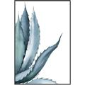 Picture of Succulent  _GroupedProduct_Rectangle_Portrait_Canvas_Framed_
