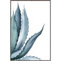 Picture of Succulent  _GroupedProduct_Rectangle_Portrait_Canvas_Framed_