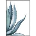 Picture of Succulent  _GroupedProduct_Rectangle_Portrait_Canvas_Framed_