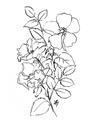 Picture of Flower Drawing _GroupedProduct_Rectangle_Portrait_Unframed_Print_Only_