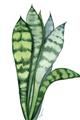 Picture of Snake Leaves _GroupedProduct_Rectangle_Portrait_Unframed_Print_Only_