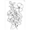 Picture of Flower Drawing _GroupedProduct_Rectangle_Portrait_Unframed_Print_Only_