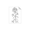 Picture of Single Hydrangea Drawing _GroupedProduct_Rectangle_Portrait_Unframed_Print_Only_