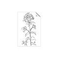 Picture of Single Hydrangea Drawing _GroupedProduct_Rectangle_Portrait_Unframed_Print_Only_