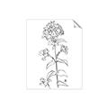 Picture of Single Hydrangea Drawing _GroupedProduct_Rectangle_Portrait_Unframed_Print_Only_