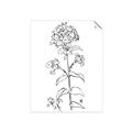 Picture of Single Hydrangea Drawing _GroupedProduct_Rectangle_Portrait_Unframed_Print_Only_