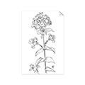 Picture of Single Hydrangea Drawing _GroupedProduct_Rectangle_Portrait_Unframed_Print_Only_
