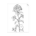 Picture of Single Hydrangea Drawing _GroupedProduct_Rectangle_Portrait_Unframed_Print_Only_