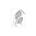 Picture of Panicle Hydrangea Drawing _GroupedProduct_Rectangle_Portrait_Unframed_Print_Only_