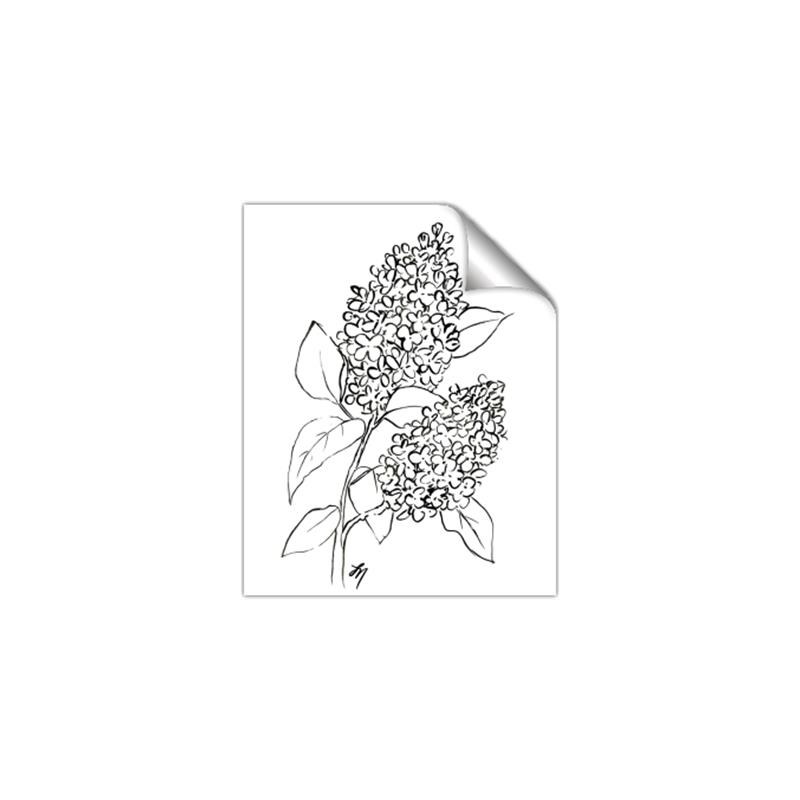 Picture of Panicle Hydrangea Drawing _GroupedProduct_Rectangle_Portrait_Unframed_Print_Only_