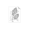 Picture of Panicle Hydrangea Drawing _GroupedProduct_Rectangle_Portrait_Unframed_Print_Only_