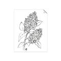 Picture of Panicle Hydrangea Drawing _GroupedProduct_Rectangle_Portrait_Unframed_Print_Only_