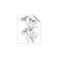 Picture of Daisy Drawing _GroupedProduct_Rectangle_Portrait_Unframed_Print_Only_