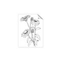 Picture of Daisy Drawing _GroupedProduct_Rectangle_Portrait_Unframed_Print_Only_