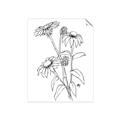 Picture of Daisy Drawing _GroupedProduct_Rectangle_Portrait_Unframed_Print_Only_